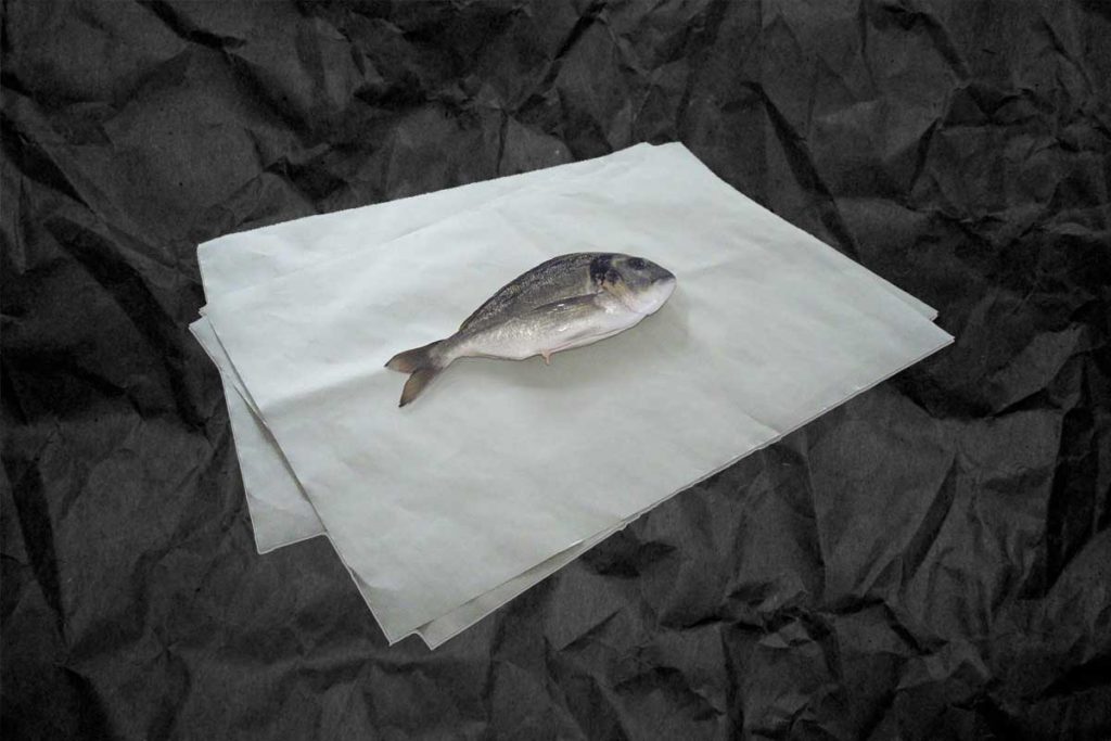 carta-vegetale-1024x683